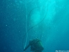 Foto descenciendo en el buceo
